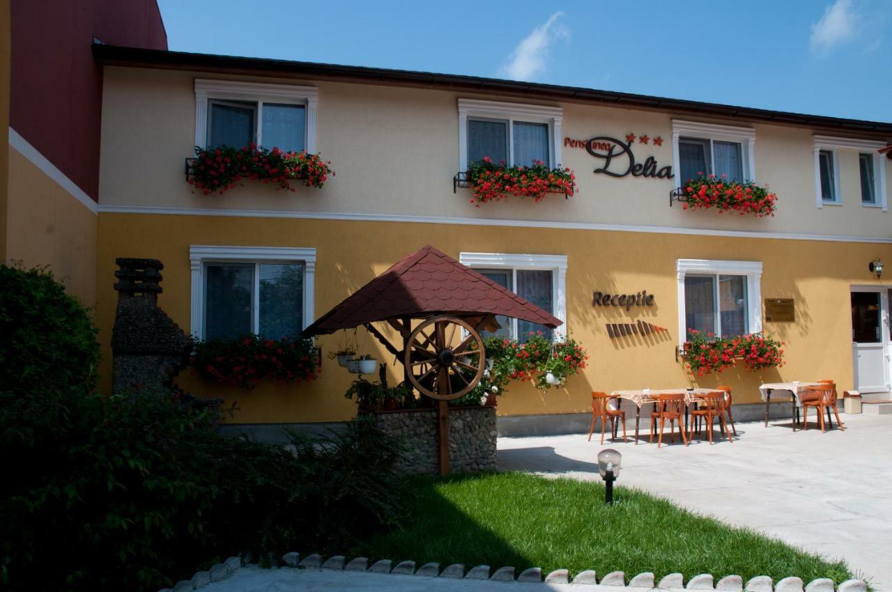 Pension Delia Gardens Timişoara Exterior foto
