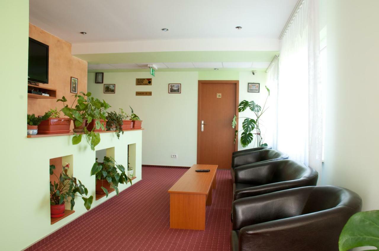 Pension Delia Gardens Timişoara Exterior foto