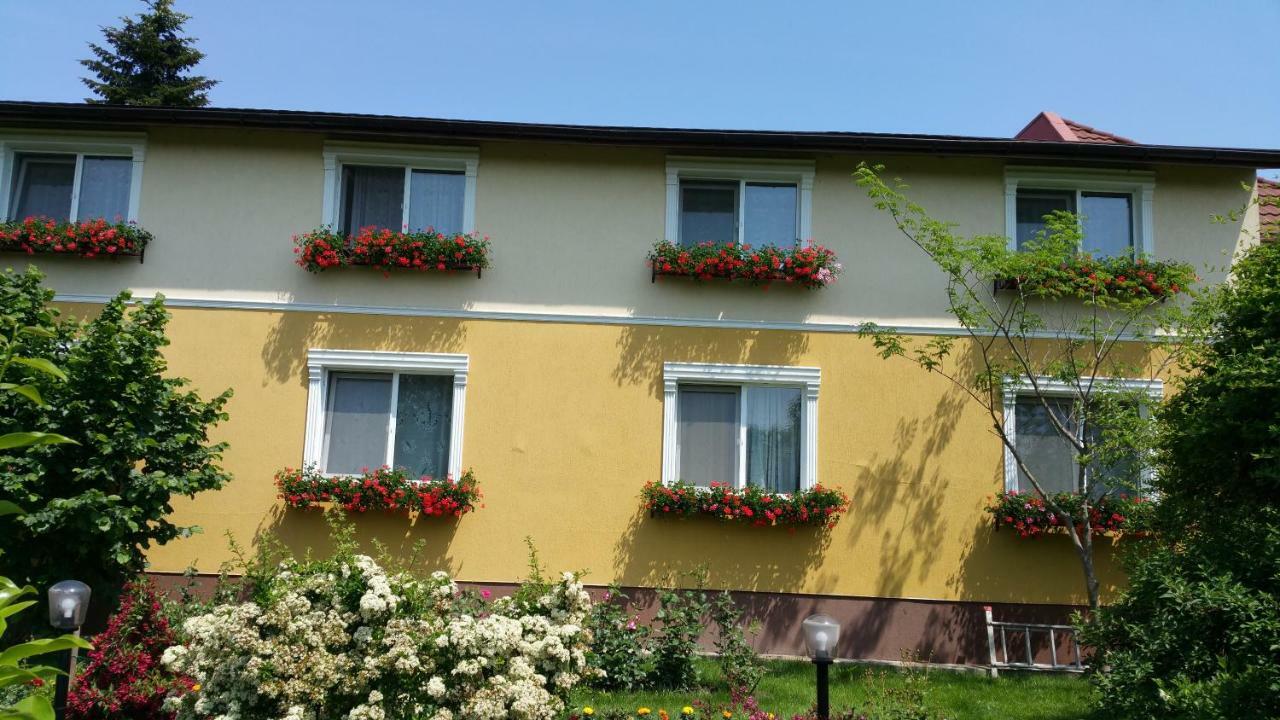 Pension Delia Gardens Timişoara Exterior foto