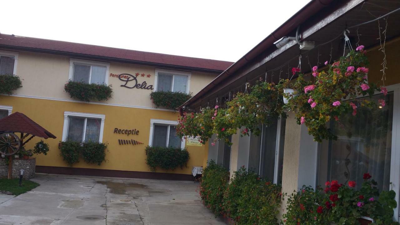 Pension Delia Gardens Timişoara Exterior foto