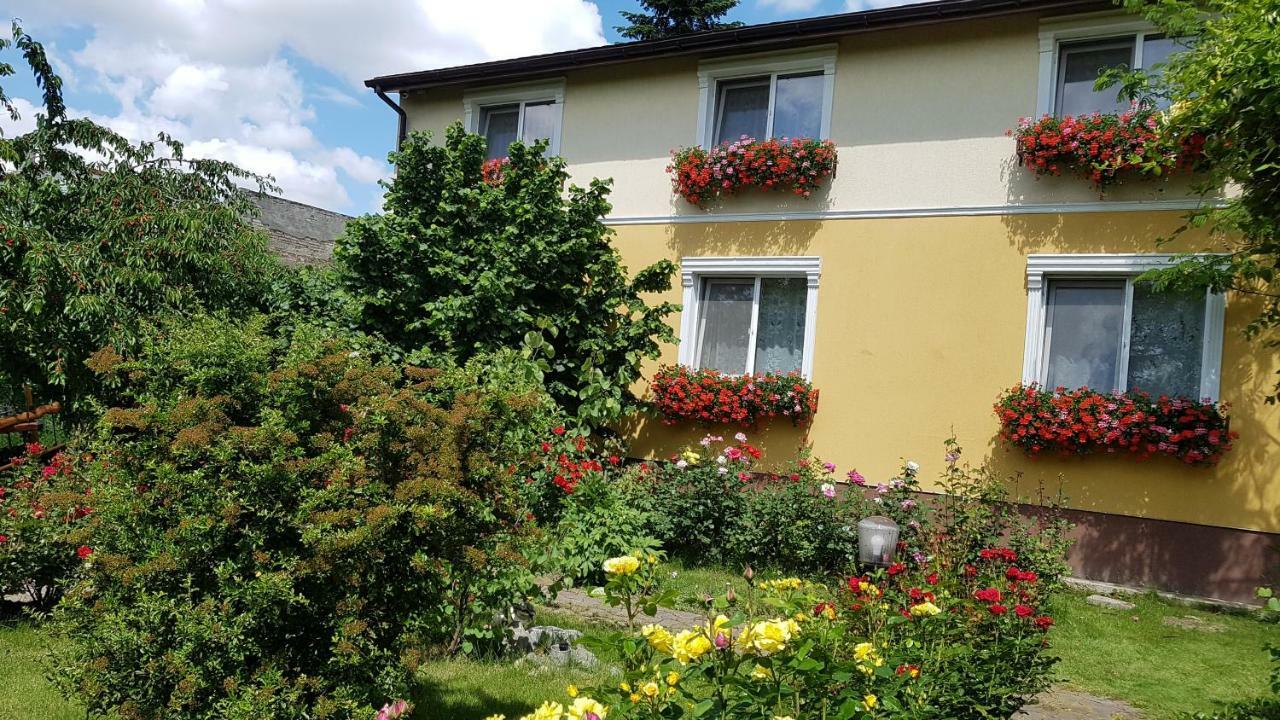 Pension Delia Gardens Timişoara Exterior foto